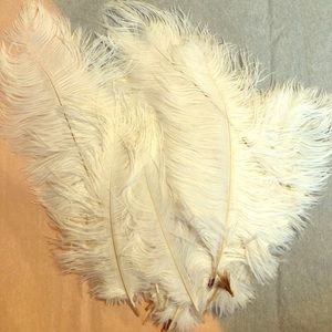 Lot of feathers (high quality)